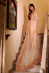 Caramel Brown & Beige Ombrey Shade Organza Saree