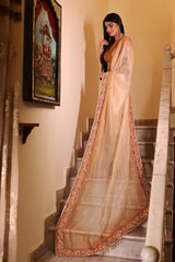 Caramel Brown & Beige Ombrey Shade Organza Saree