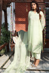 Fern Green Party Wear Organza Suit