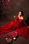 Candy Red Pure Organza Saree