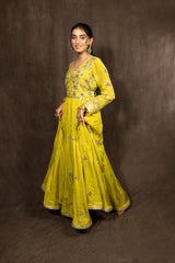 Lime Green Tissue Anarkali