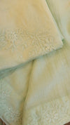 PISTA GREEN CHANDERI CHIKANKARI SUIT