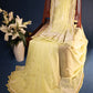 Lime Yellow Mul Chanderi Chikankari Saree