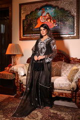 Z Black Party Wear Organza Suit